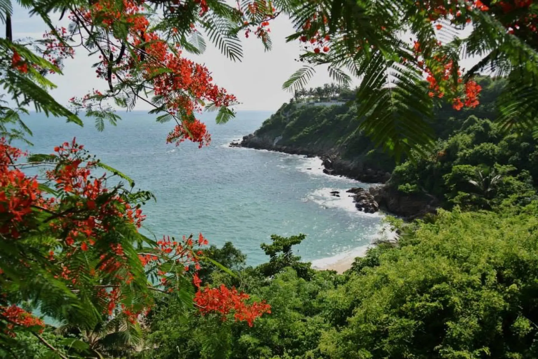 Horseback tour along the Puerto Escondido coast