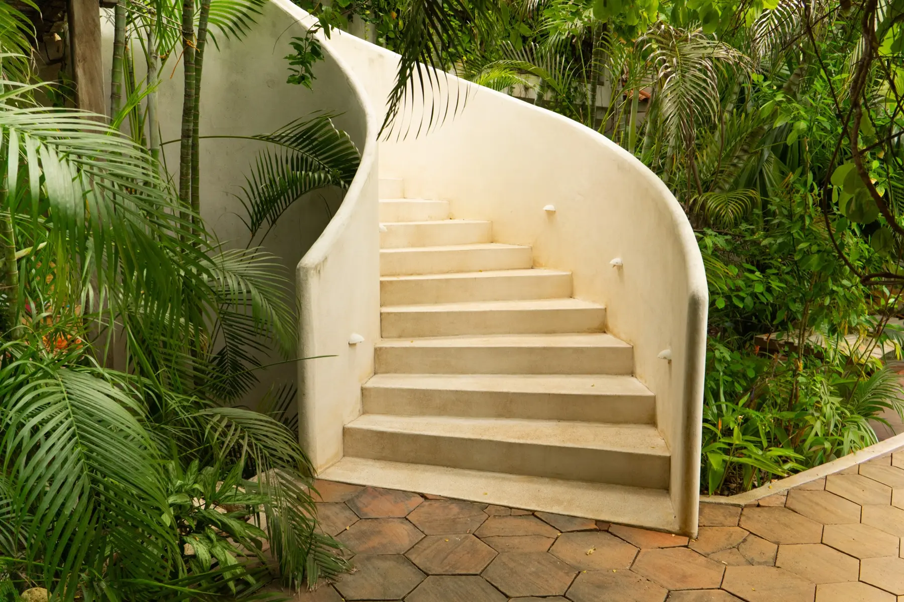 Garden staircase among palms