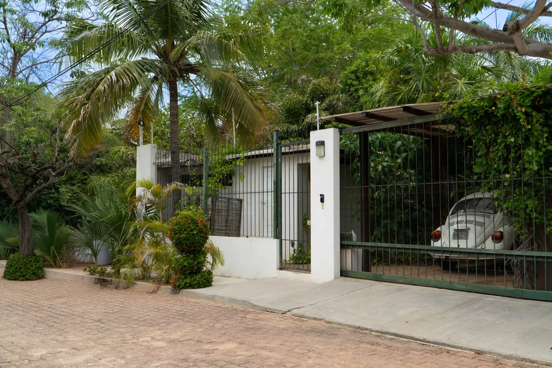 Villa María exterior with palm trees and bougainvillea