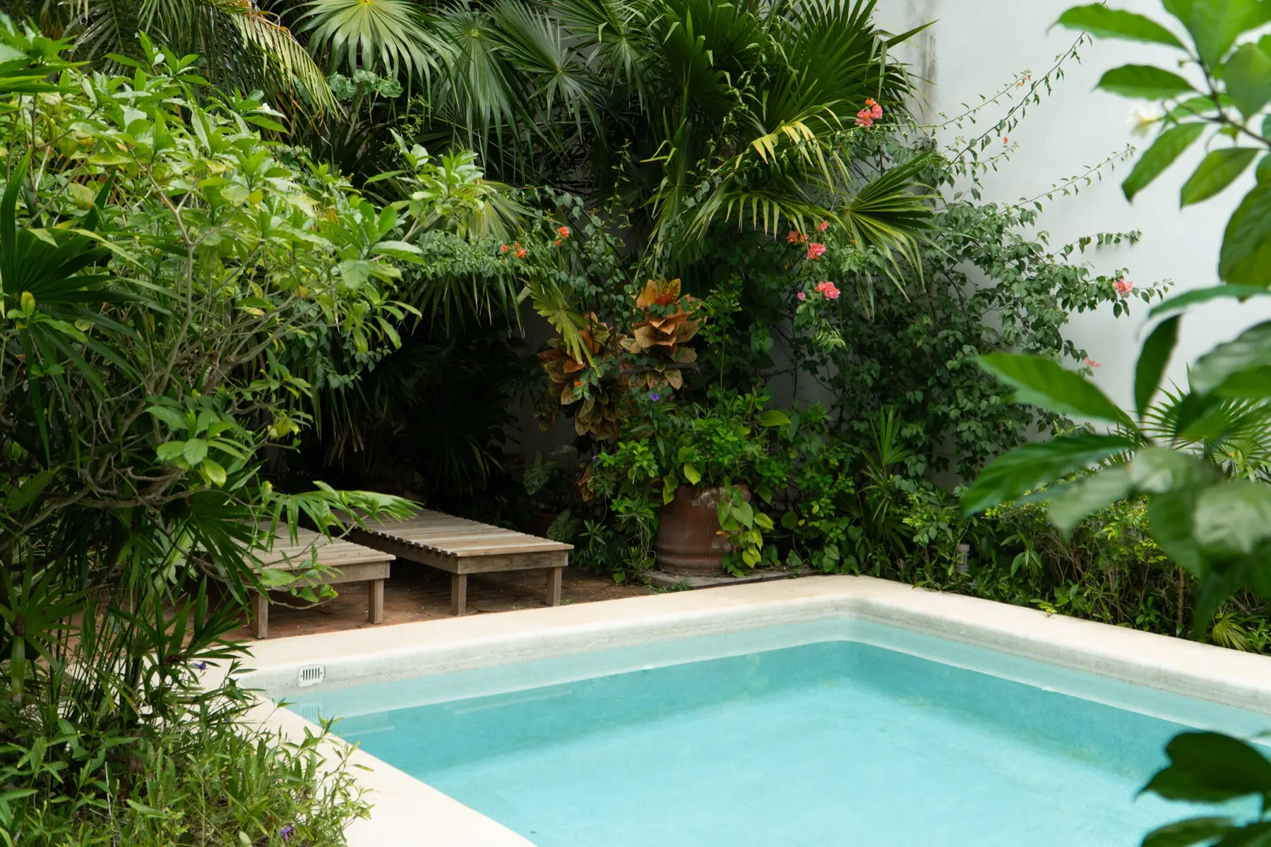 Pool and courtyard